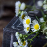 2025年最新开奖结果公布完整名单揭晓 0x2v869so