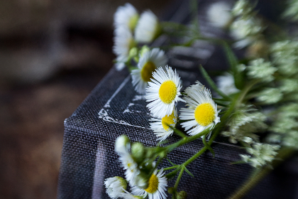 2025年最新开奖结果公布完整名单揭晓