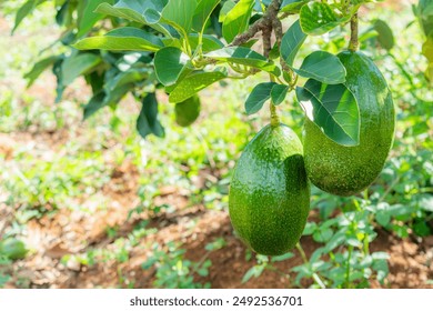 2025年彩票开奖第28期最新结果公布