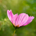 2025年开奖108期幸运号码即将揭晓 1y4ya94