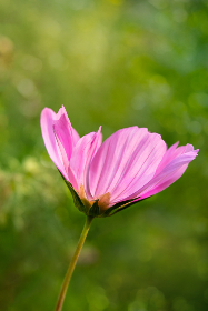 2025年开奖108期幸运号码即将揭晓