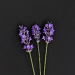 2025年开奖计:全新规则与惊喜大奖揭晓 5iwhwqm5h