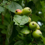 2025年度盛典现场开奖全程直播 7umxoio27v