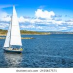 2025年第118期3D开奖结果最新公布 82csaimolz