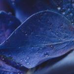 2025年最新开奖结果查询与完整号码公布 83verd1