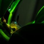 2025年第132期开奖结果查询与最新公布 bugh3