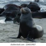 2025年最新开奖号码结果查询与公布 efm52r