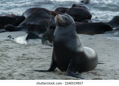 2025年最新开奖号码结果查询与公布