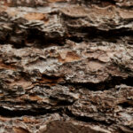 2025年福彩各彩种开奖时间详细安排表 eyit6uxb3p