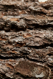 2025年福彩各彩种开奖时间详细安排表