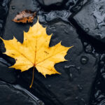 2025年第073期开奖结果最新公布 zj3cpg5oud