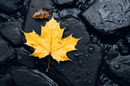 2025年第073期开奖结果最新公布